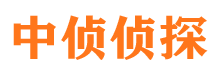 城子河捉小三公司